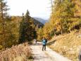 Herbstlicher-Wald.jpg